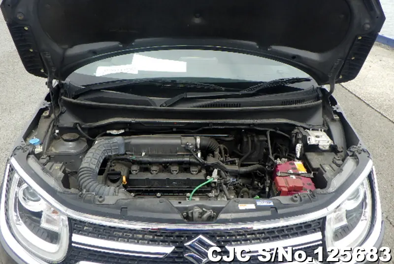 Suzuki Ignis in Gray for Sale Image 9