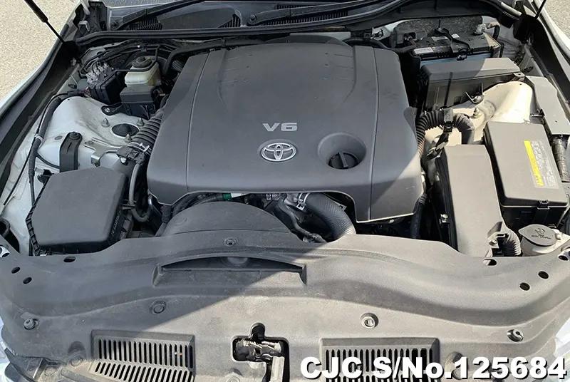 Toyota Mark X in White for Sale Image 15