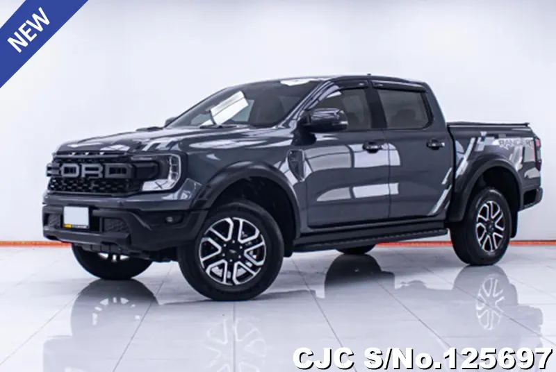 Ford Ranger in Gray for Sale Image 1