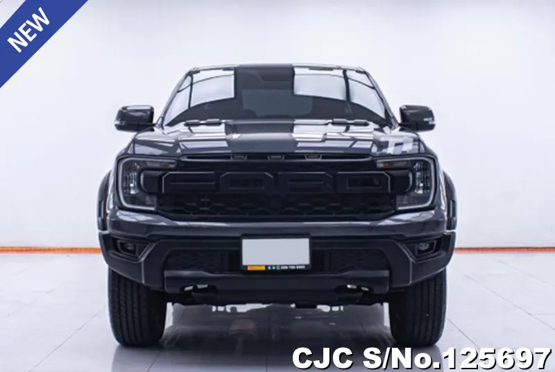 Ford Ranger in Gray for Sale Image 3