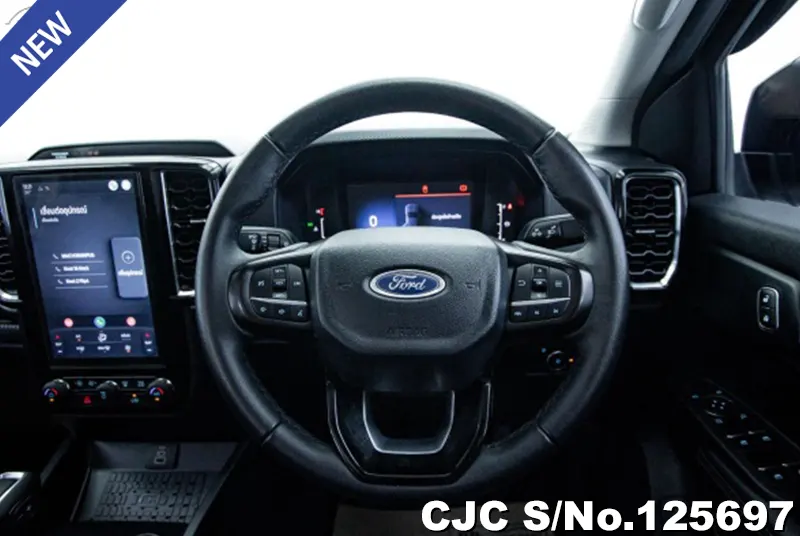 Ford Ranger in Gray for Sale Image 9