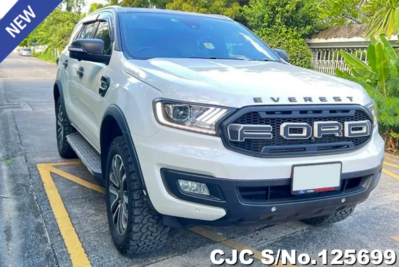 Ford / Everest 2021