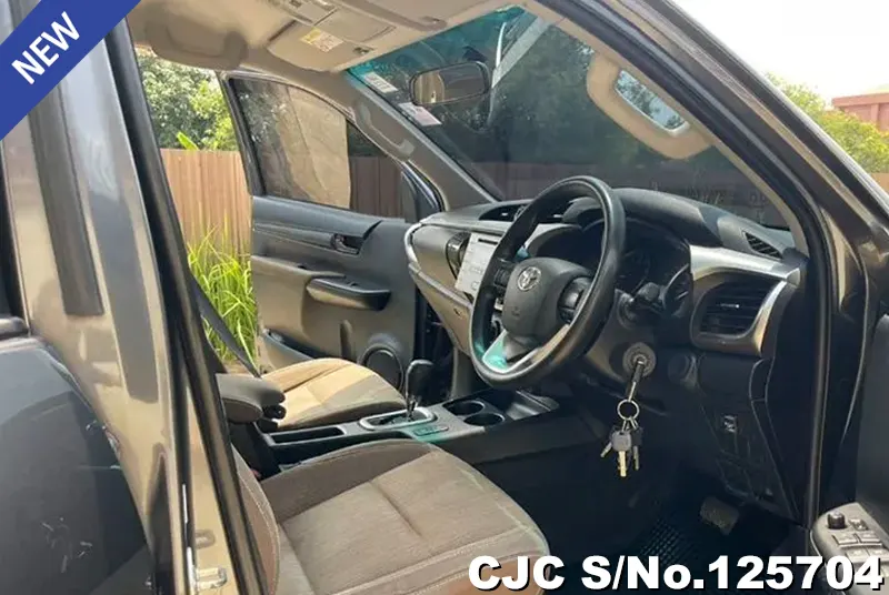 Toyota Hilux in Gray for Sale Image 4