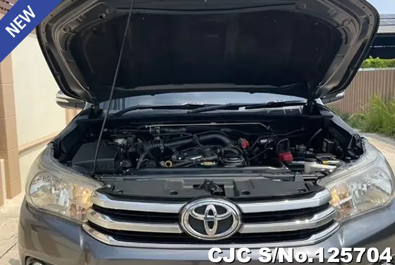 Toyota Hilux in Gray for Sale Image 8