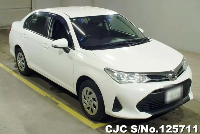 Toyota / Corolla Axio 2019