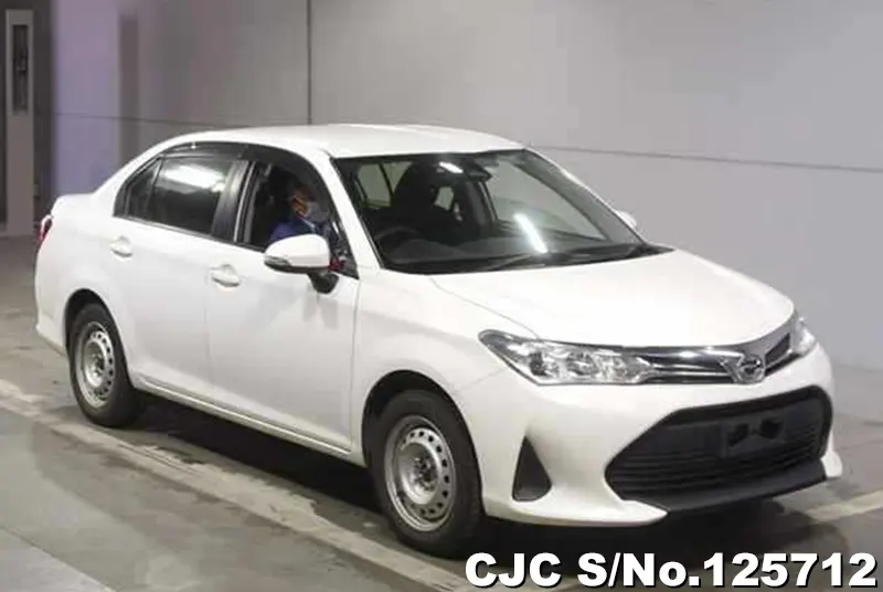 Toyota / Corolla Axio 2019