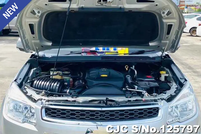 Chevrolet Colorado in White for Sale Image 12