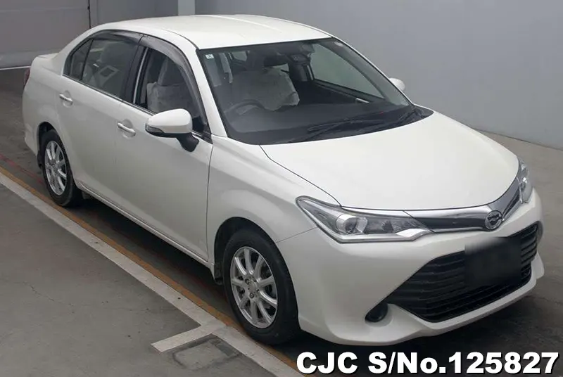 Toyota / Corolla Axio 2016
