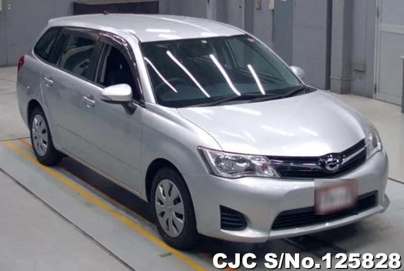 Toyota / Corolla Fielder 2013