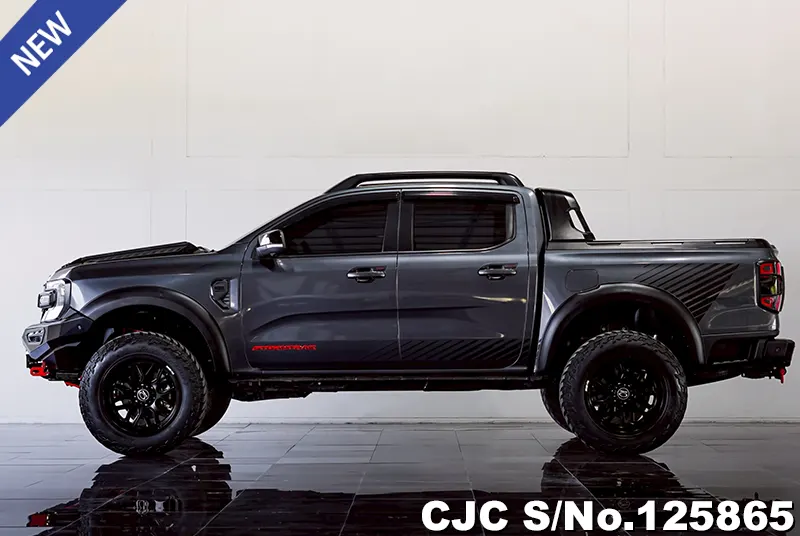Ford Ranger in Gray for Sale Image 7