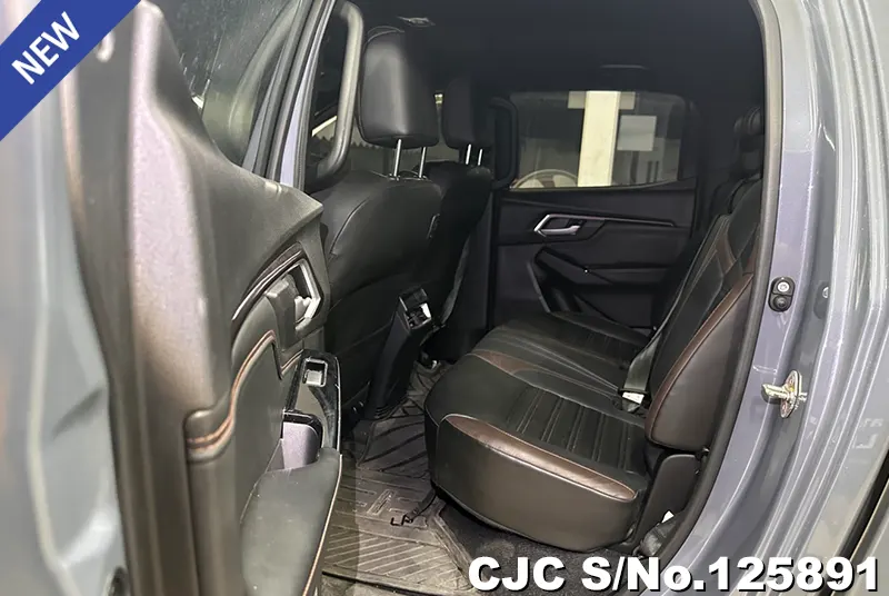 Isuzu D-Max in Gray for Sale Image 10