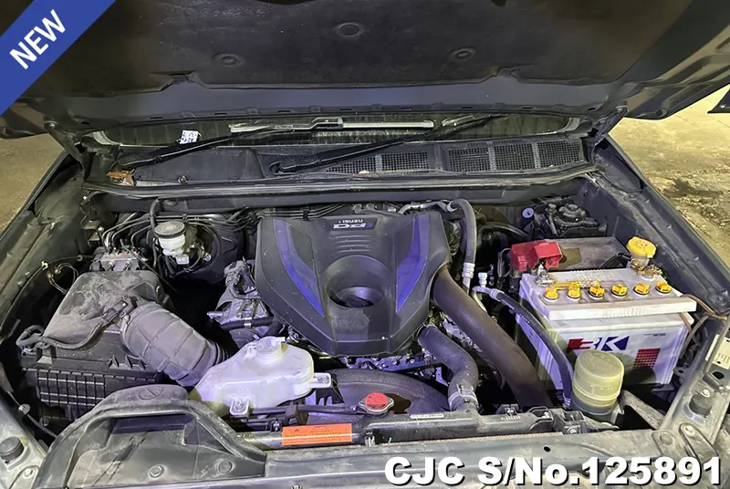 Isuzu D-Max in Gray for Sale Image 13