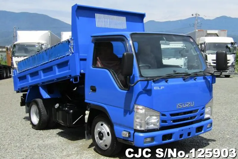 Isuzu / Elf 2019