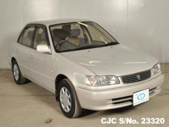 1999 Toyota / Corolla Stock No. 23320