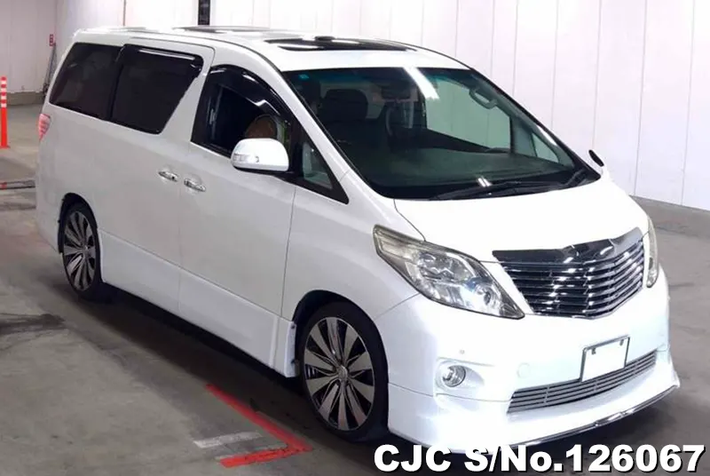Toyota / Alphard 2010