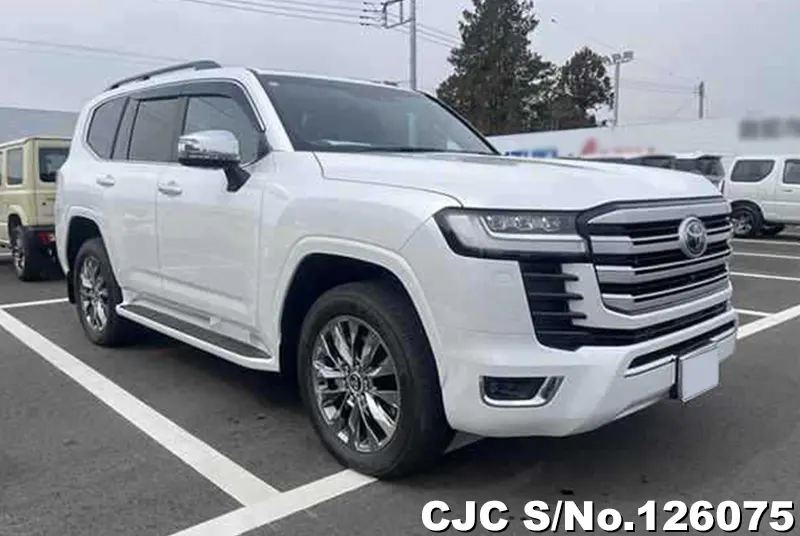 Toyota / Land Cruiser 2024