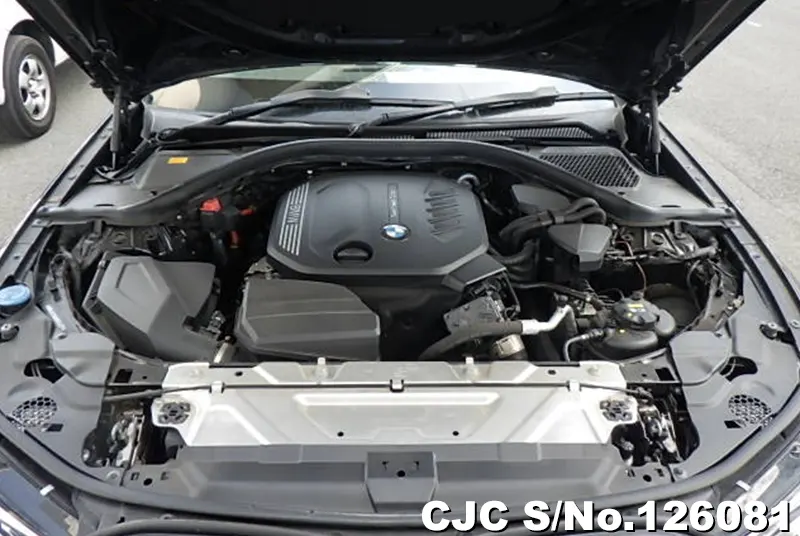 2020 BMW / 3 Series Stock No. 126081