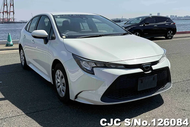 Toyota / Corolla 2020