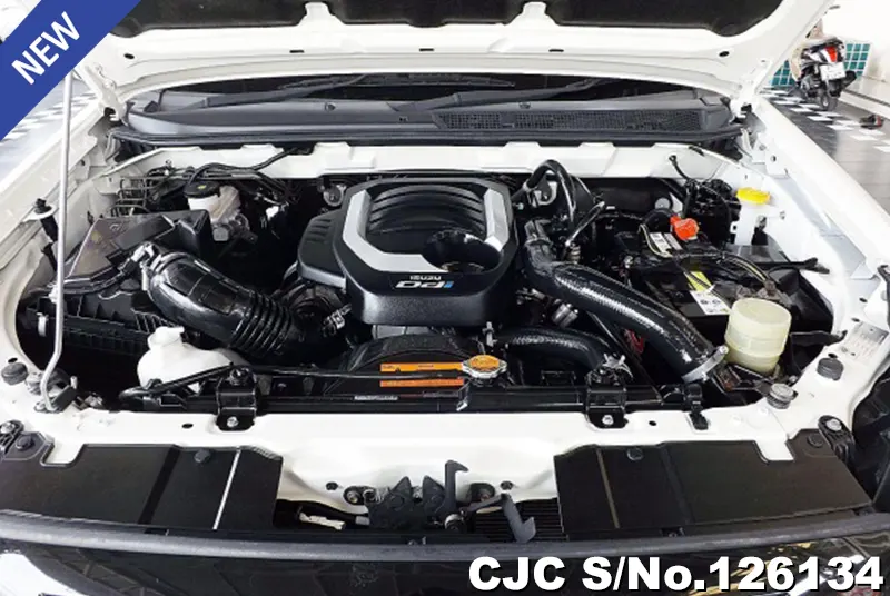 Isuzu D-Max in White for Sale Image 10