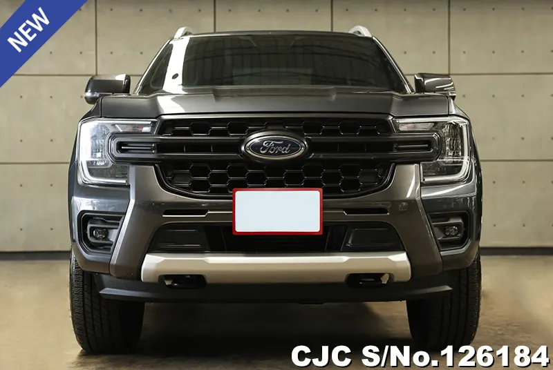 Ford Ranger in Gray for Sale Image 2