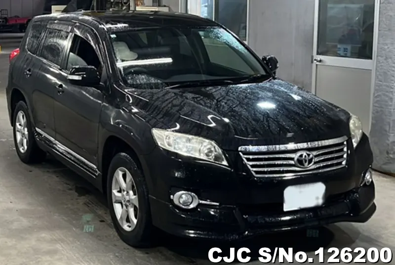 Toyota / Vanguard 2010