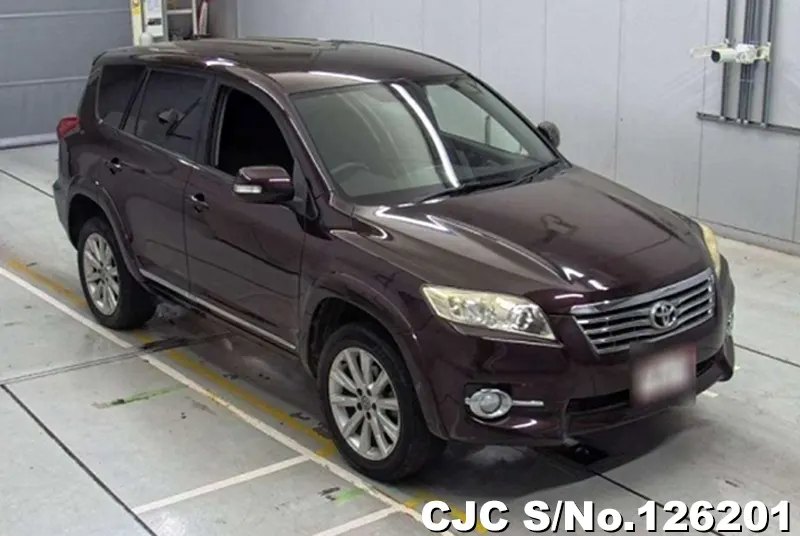 Toyota / Vanguard 2010