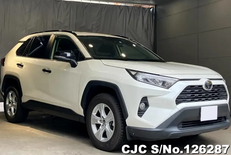 Toyota / Rav4 2020