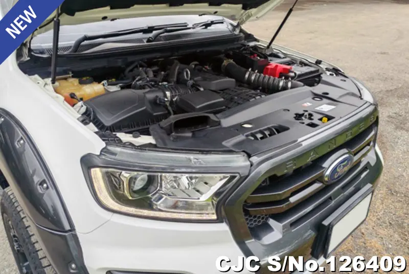 Ford Ranger in White for Sale Image 11
