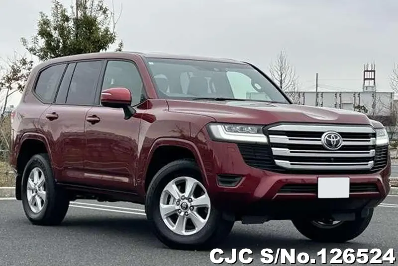 Toyota / Land Cruiser 2024