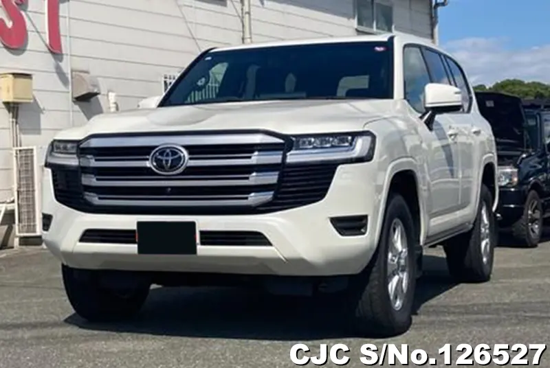 Toyota / Land Cruiser 2000