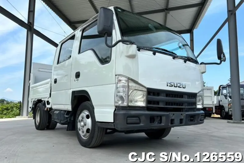 Isuzu / Elf 2008