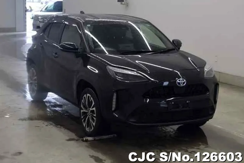 Toyota / Yaris Cross 2023
