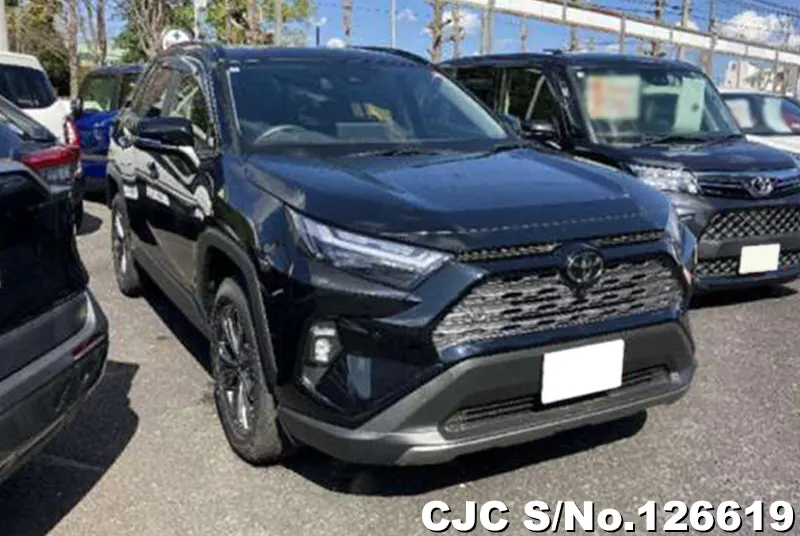 2025 Toyota / Rav4 AXAH54