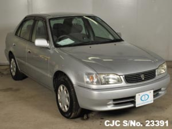 1999 Toyota / Corolla Stock No. 23391