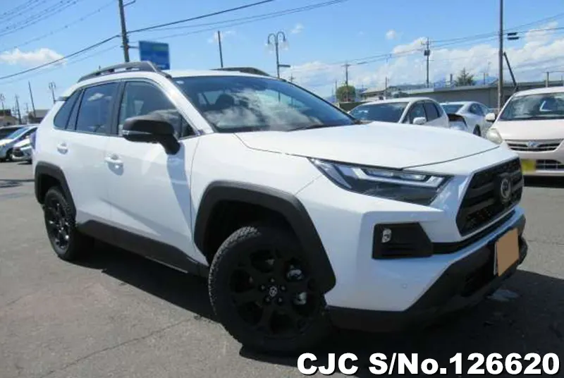 2025 Toyota / Rav4 AXAH54