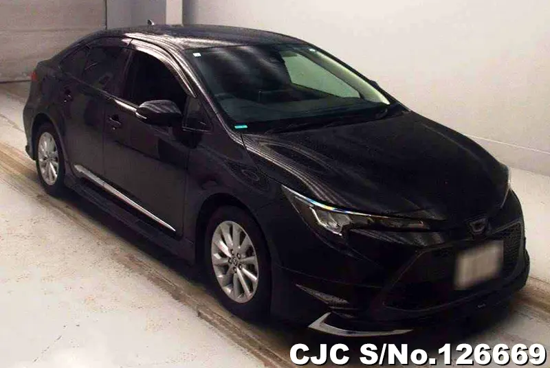 Toyota / Corolla 2019