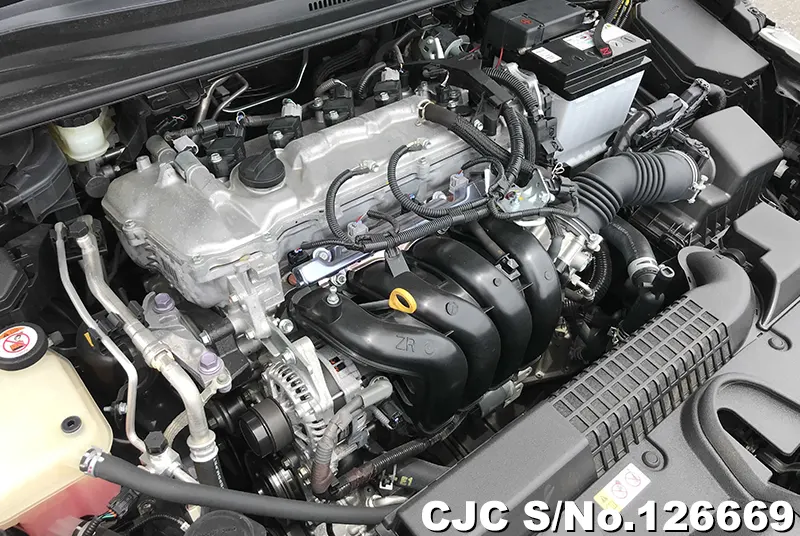 2019 Toyota / Corolla Stock No. 126669