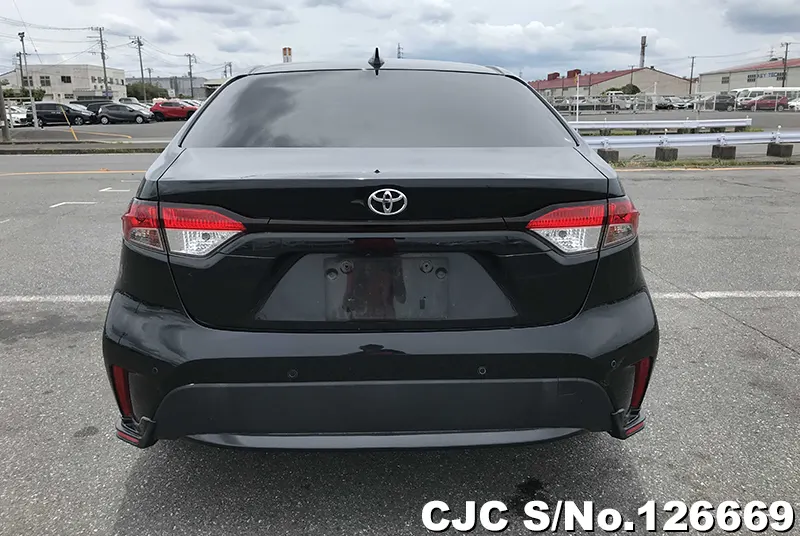 2019 Toyota / Corolla Stock No. 126669