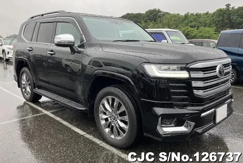 Toyota / Land Cruiser 2024