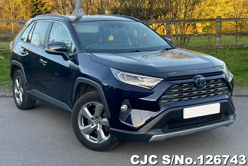 Toyota / Rav4 2020