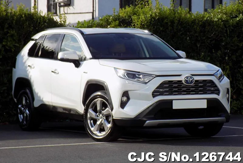 Toyota / Rav4 2020