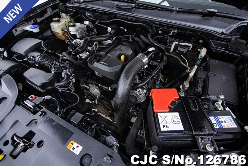 Ford Ranger in Black for Sale Image 10