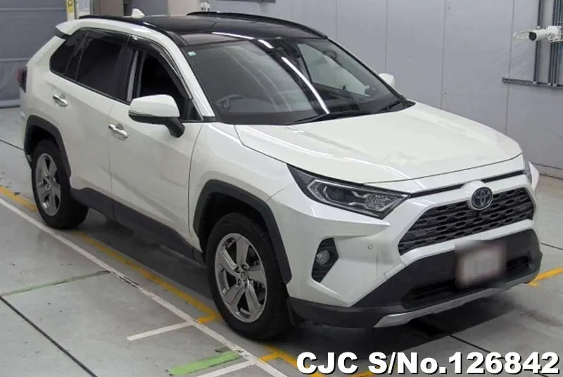 Toyota / Rav4 2020