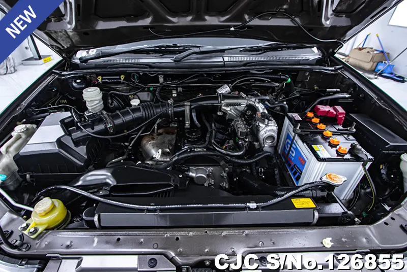 Mitsubishi Triton in Sugar for Sale Image 12