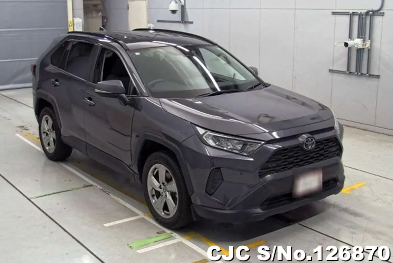Toyota / Rav4 2020