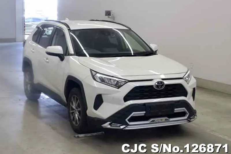 Toyota / Rav4 2020