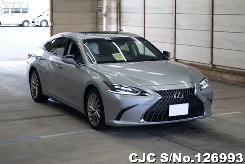 Lexus / ES 300h 2024
