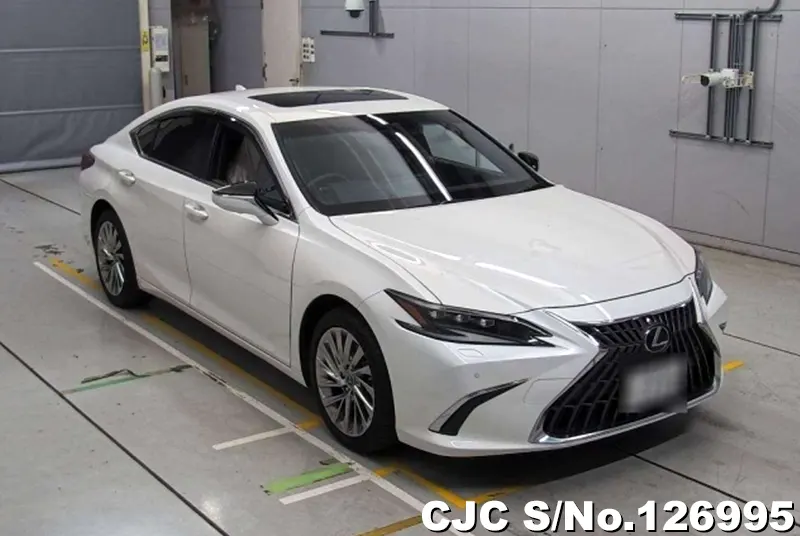 Lexus / ES 300h 2023