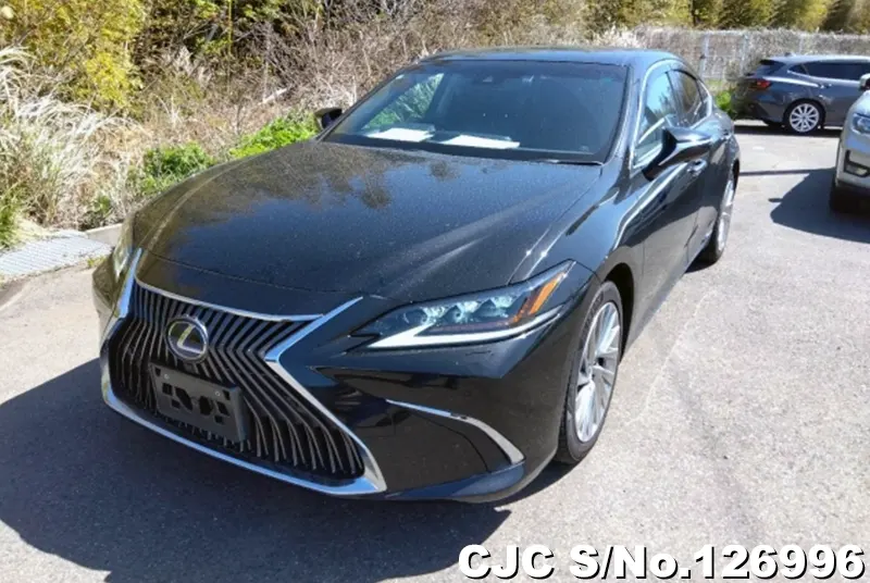 Lexus / ES 300h 2019