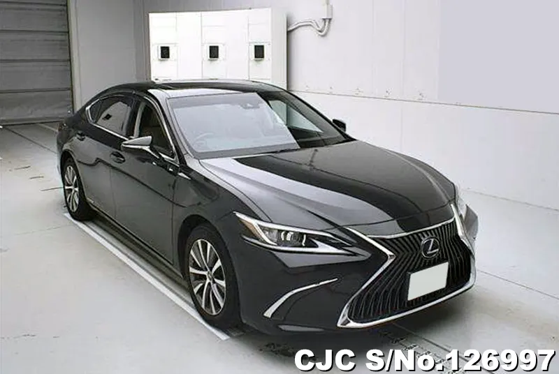 Lexus / ES 300h 2019